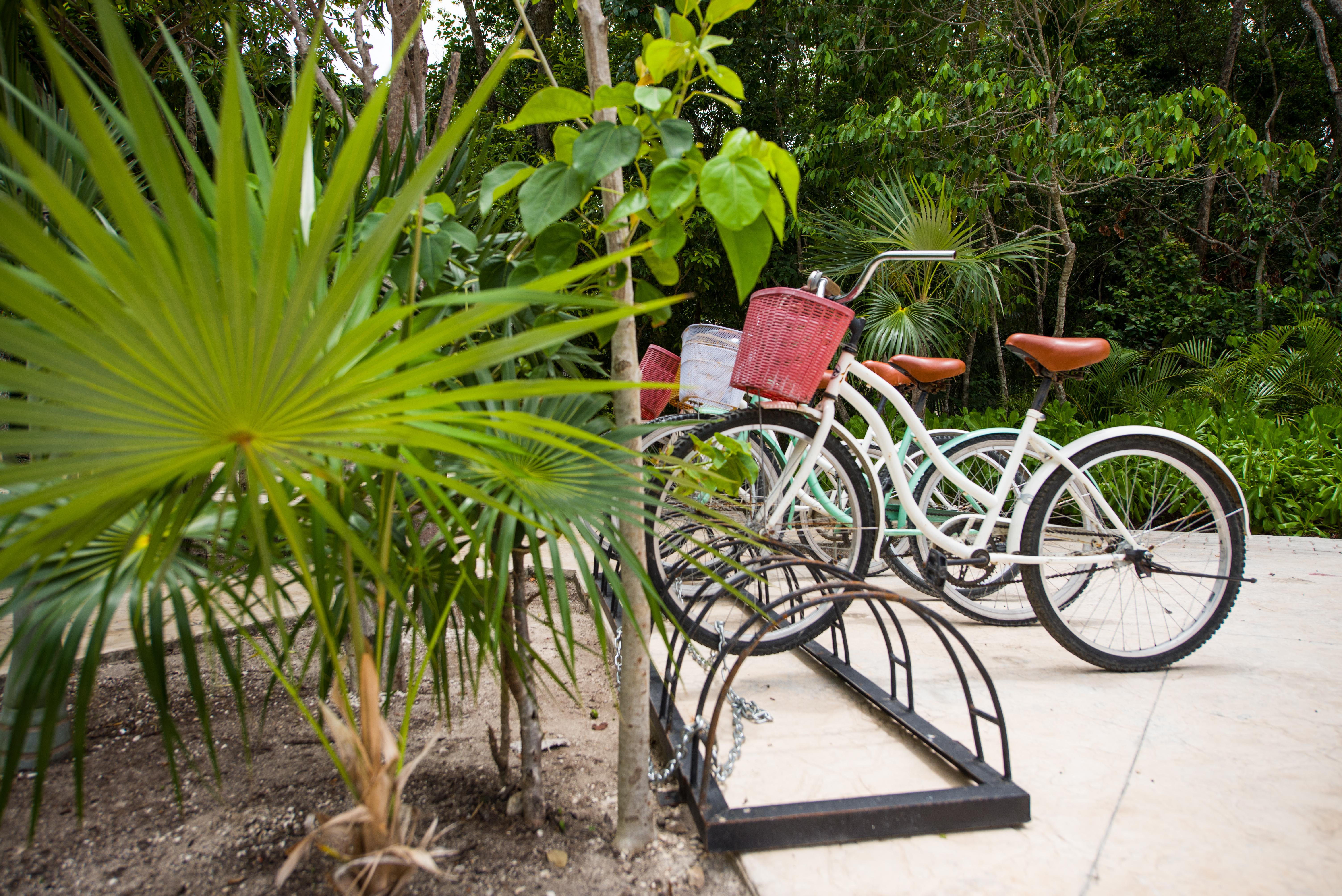 Naay Tulum Curamoria Collection Εξωτερικό φωτογραφία