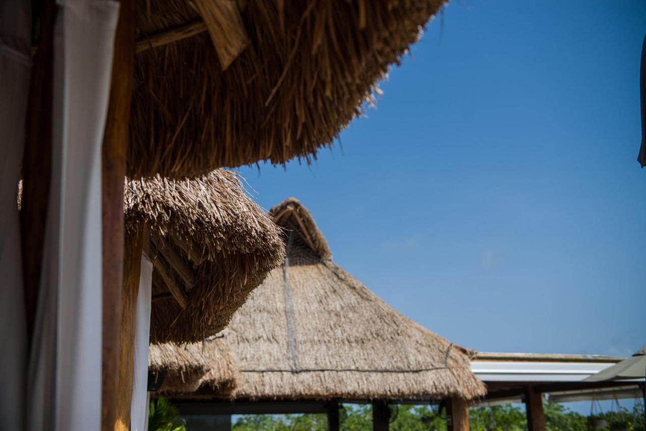 Naay Tulum Curamoria Collection Εξωτερικό φωτογραφία
